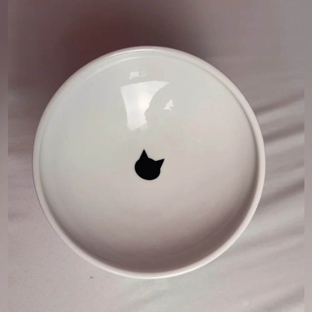 Necoichi Raised Ceramic Cat Bowl Extra Wide Tilted